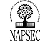 3-napsec-logo