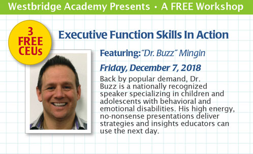December Workshop banner images - Exec Function Skills in Action - Buzz Mingin