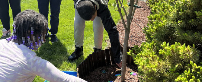 Students planting a tree in celebration of the school's 50th Anniversary.